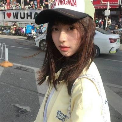 动物王国