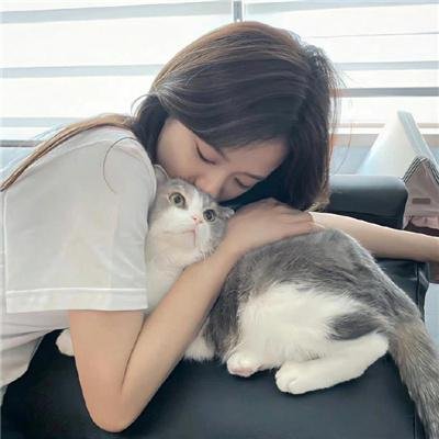 暴力之音